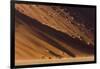 Namibia, Namib-Naukluft Park. Desert sand dune at sunset.-Jaynes Gallery-Framed Photographic Print