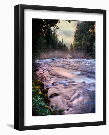 River flowing through a forest, McKenzie River, Belknap Hot Springs, Willamette National Forest...-null-Framed Photographic Print