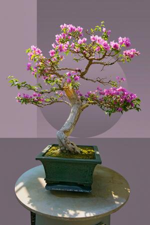 Photographic Print, , small