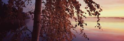 Photographic Print, , small