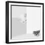 Peek a Boo-Jon Bertelli-Framed Art Print