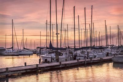 Premium Photographic Print, , small