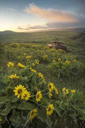 Premium Photographic Print, , small