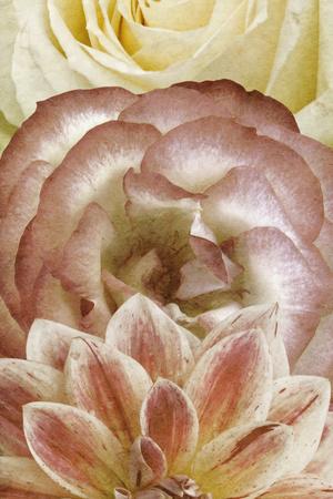 Premium Photographic Print, , small