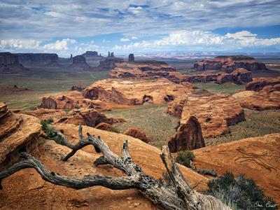 Premium Photographic Print, , small