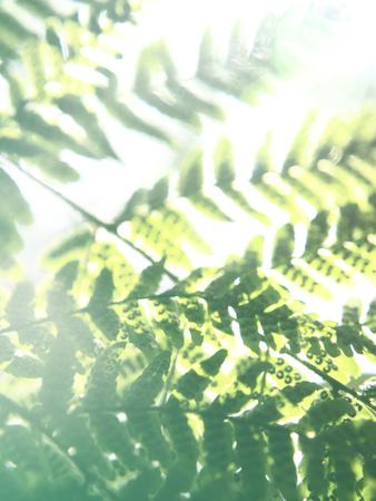 Premium Photographic Print, , small