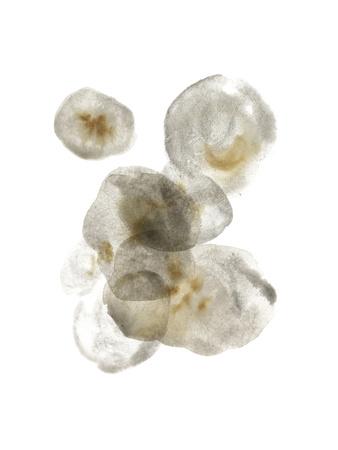 Premium Giclee Print, , small