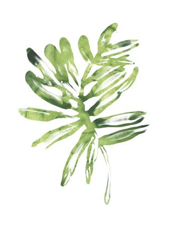 Premium Giclee Print, , small