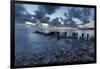 Old wooden piles going out to sea and pebbles on beach at dawn, Munkerup, Kattegat Coast, Zealand, -Stuart Black-Framed Photographic Print