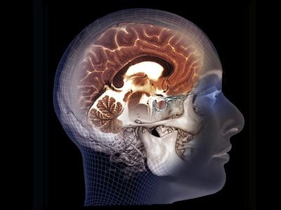 Photographic Print, , small