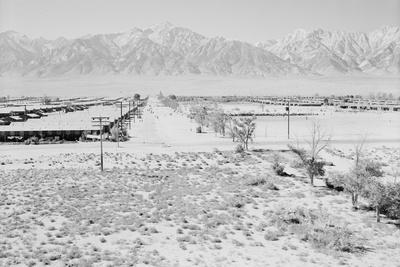 Photographic Print, , small