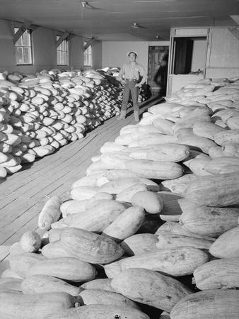 Photographic Print, , small