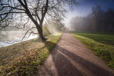 Photographic Print, , small