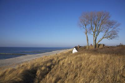 Photographic Print, , small