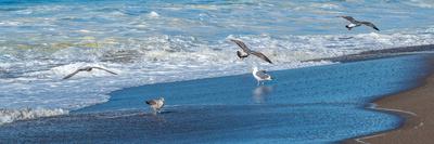 Premium Photographic Print, , small