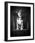 Mutt Black & White-Edward M. Fielding-Framed Photographic Print