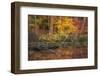 Fire Lake-Viviane Fedieu Daniel-Framed Photographic Print