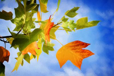 Photographic Print, , small