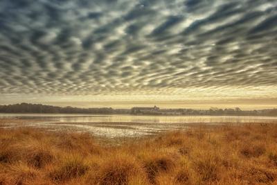 Photographic Print, , small