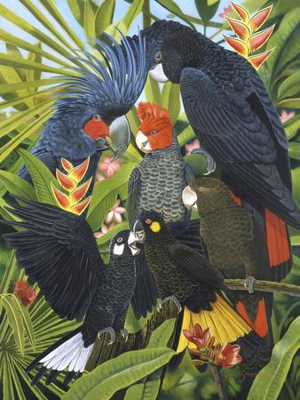 Giclee Print, , small