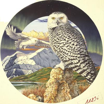 Giclee Print, , small