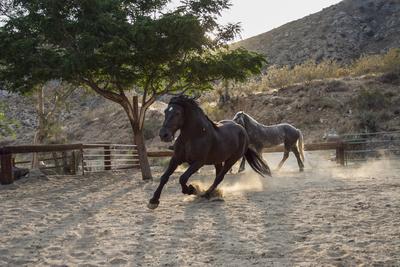 Premium Photographic Print, , small