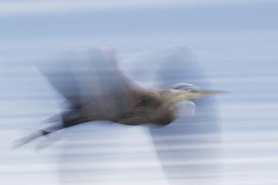 Premium Photographic Print, , small