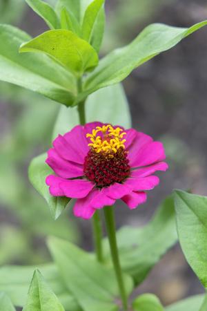 Premium Photographic Print, , small