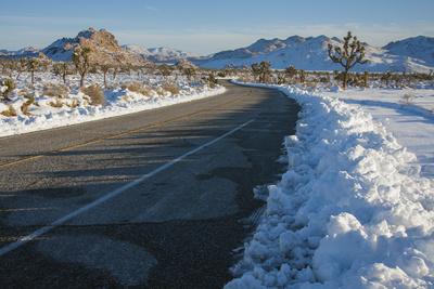 Premium Photographic Print, , small