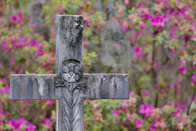 Premium Photographic Print, , small