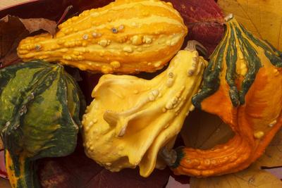 Premium Photographic Print, , small