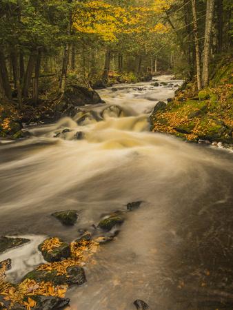 Premium Photographic Print, , small