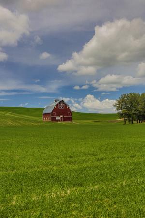 Premium Photographic Print, , small