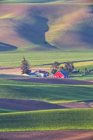 Premium Photographic Print, , small