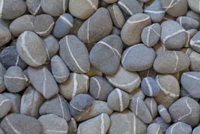 Premium Photographic Print, , small