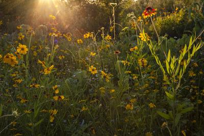 Premium Photographic Print, , small