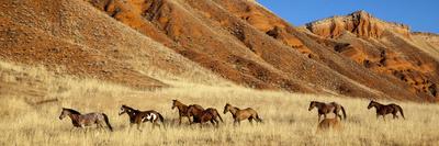 Premium Photographic Print, , small