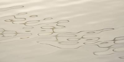 Photographic Print, , small