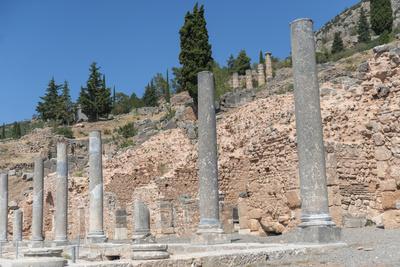 Premium Photographic Print, , small