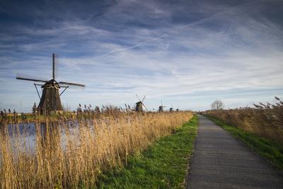 Premium Photographic Print, , small