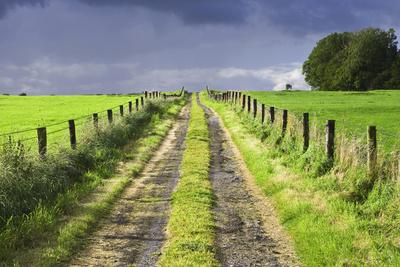 Premium Photographic Print, , small