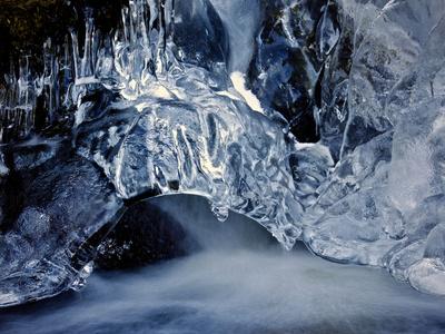 Photographic Print, , small