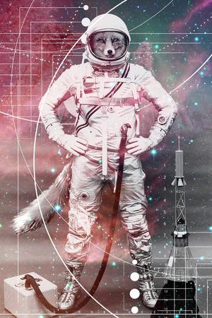 Art Print, , small