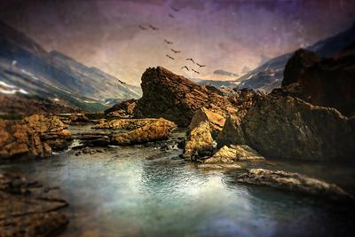 Photographic Print, , small