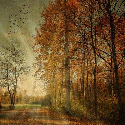 Photographic Print, , small