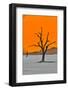 Africa, Namibia, Sossusvlei. Dead Acacia Trees in the White Clay Pan at Deadvlei in the Morning Lig-Hollice Looney-Framed Photographic Print