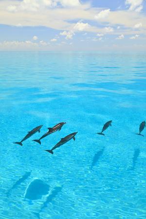 Photographic Print, , small