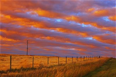 Photographic Print, , small