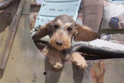 Photographic Print, , small