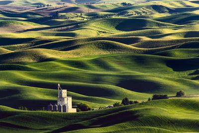 Photographic Print, , small